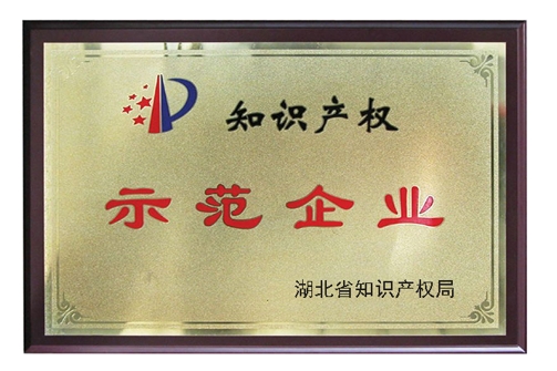 Demonstration enterprise of intellectual property in Hubei Province